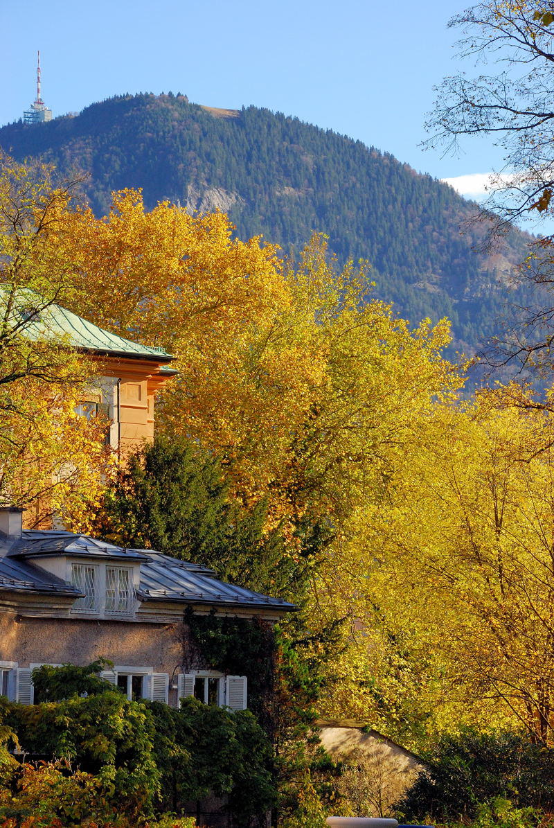 Pbase Fall colors in Austria November 15 2006.jpg
