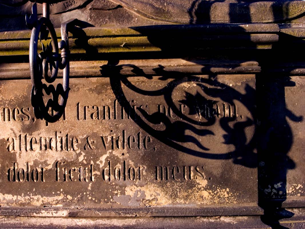 pbase charles Bridge 4 June 20 R1010337.jpg