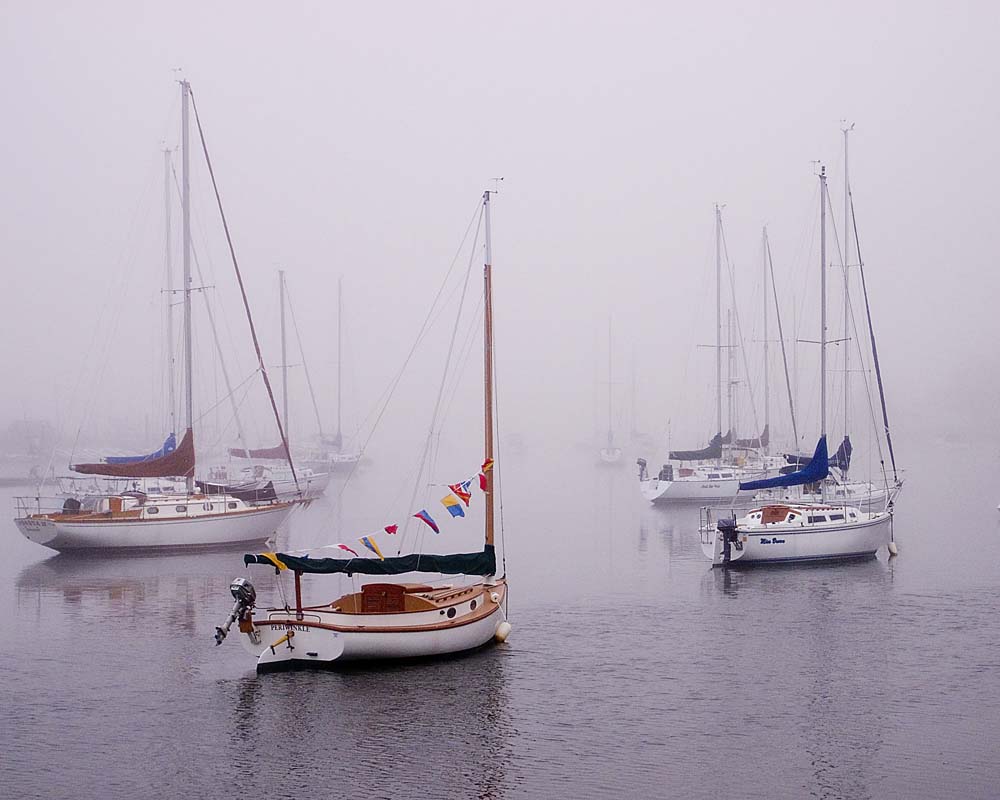 pbase Out of the fog July 31 2007 R1011197.jpg