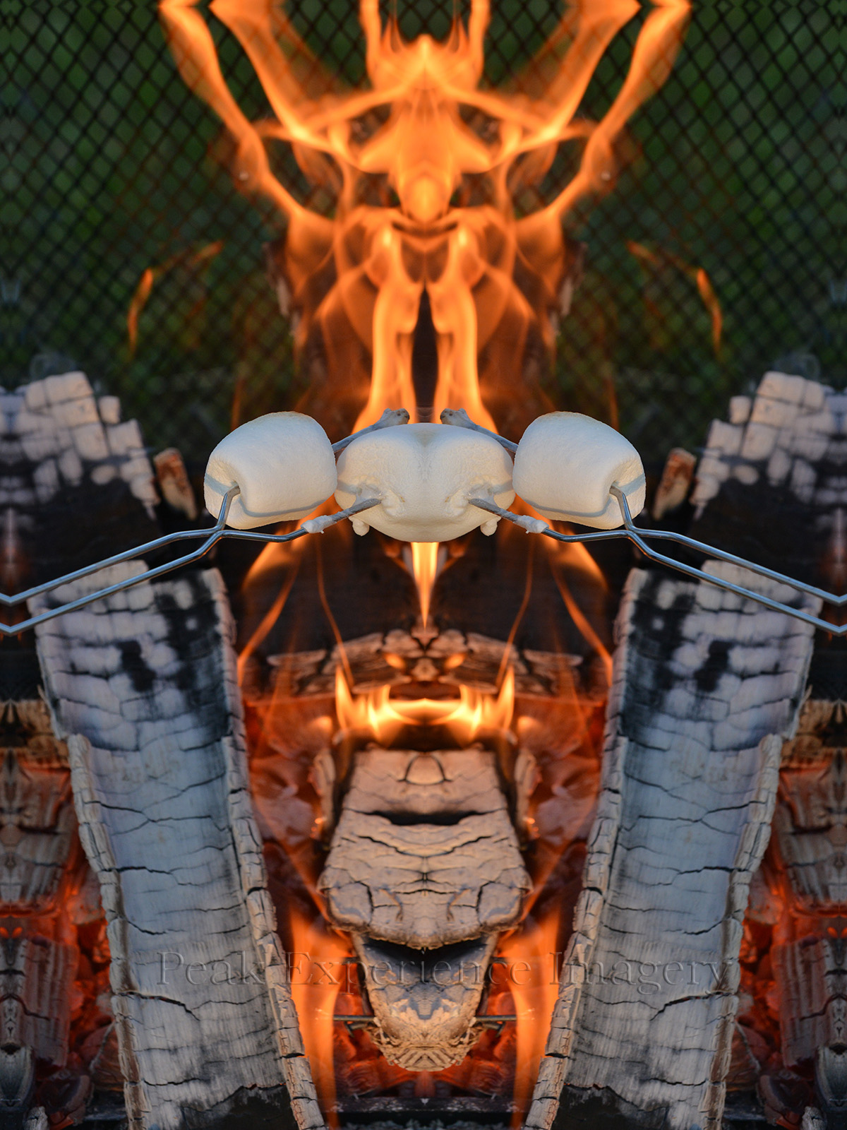 Terrazzo - Marshmellows - 36x48.jpg