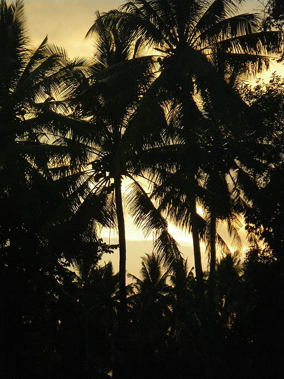 Ubud