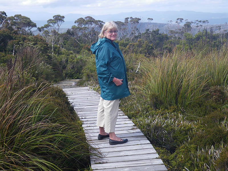 Boardwalk across fragile vegetation, Hartz Mountains NP, 2010