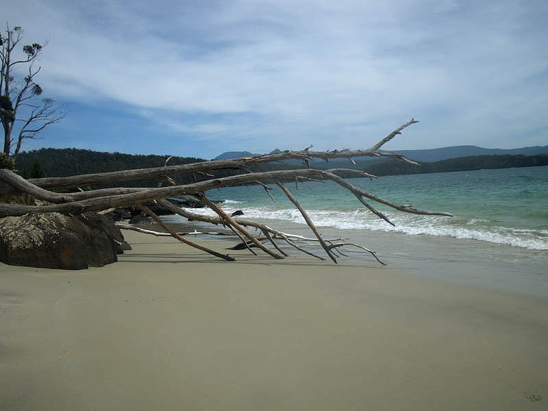 Cockle Creek, Recherche Bay, start of coastal walk, SW NP