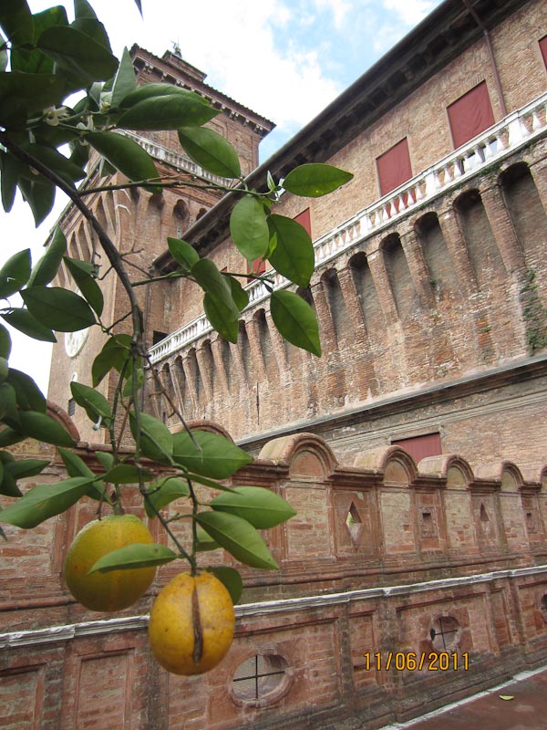 Ferrara,   Orangery on the terrace of Castello Estense