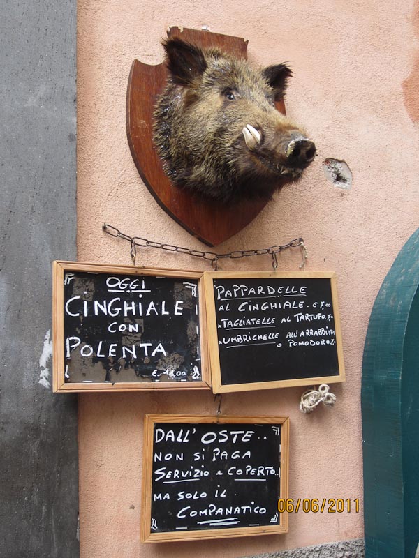 Orvieto,  Boar cafe display