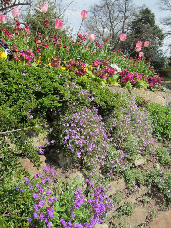 Shrewsbury Botanical Gardens