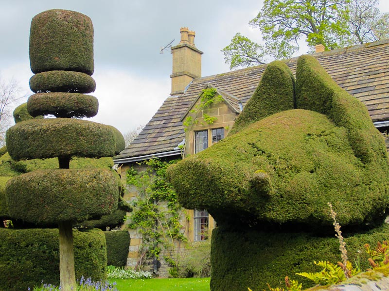 Haddon Hall, topiary garden