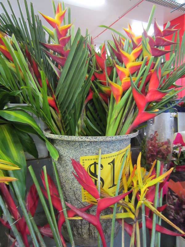 Tropical flowers for sale at Rusty's Market