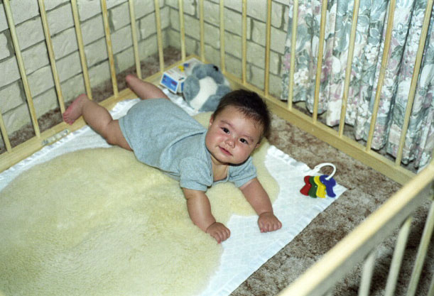 Max in playpen. Nov. 1997