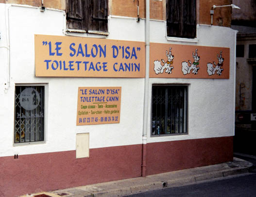 Dog Salon, Beziers, France