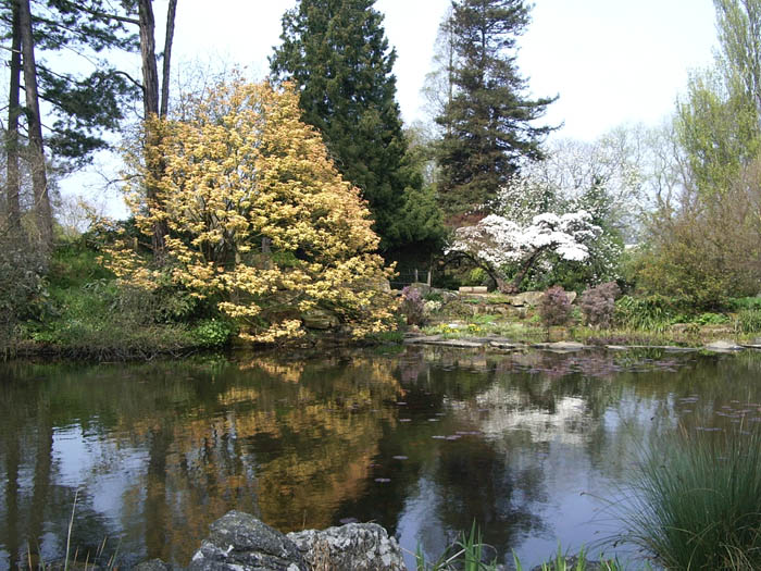 Botanic Gardens, Cambridge