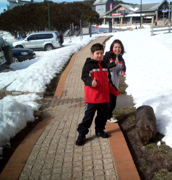 Winter Holiday, 2007