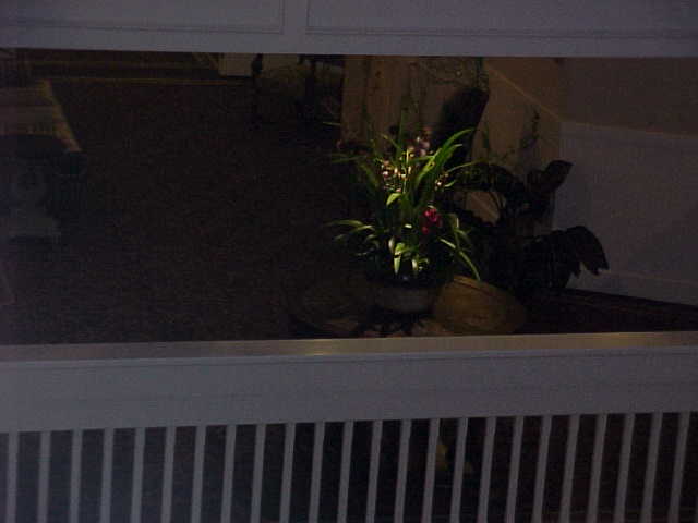 Oceano Hotel Second Floor