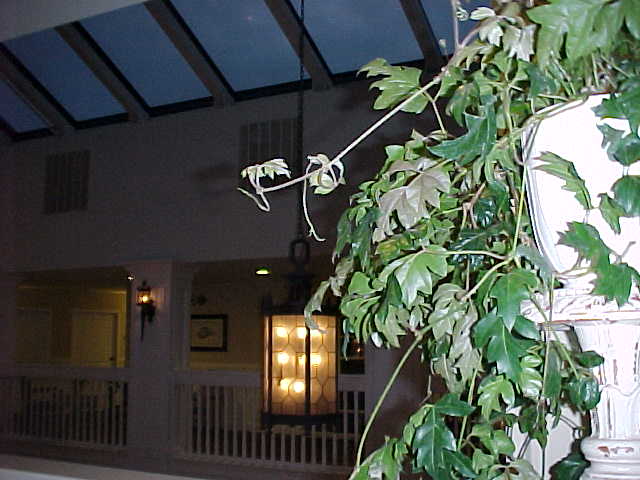 Oceano Hotel Skylight
