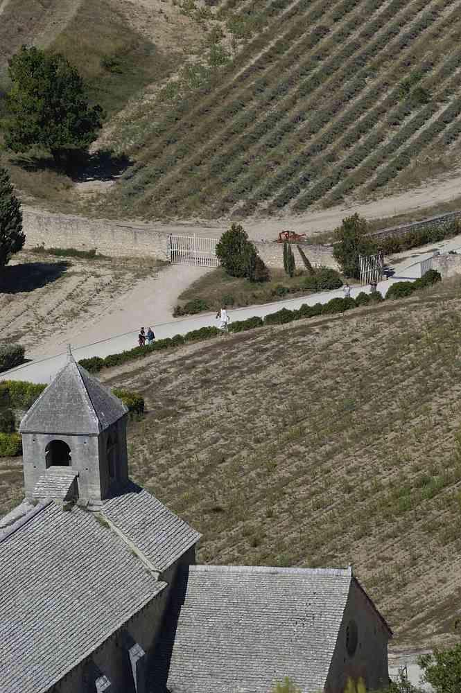 24473.JPG Abbaye Notre-Dame de Snanque- Gordes