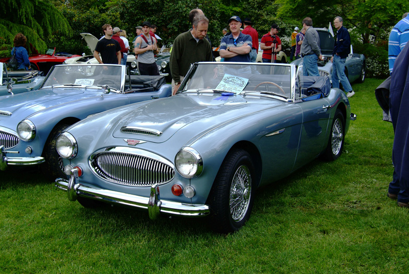 1967 Austin Healey BJB.jpg