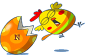 footer2N.gif