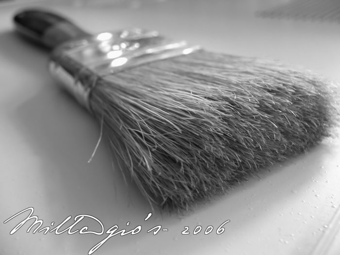 Brush.jpg