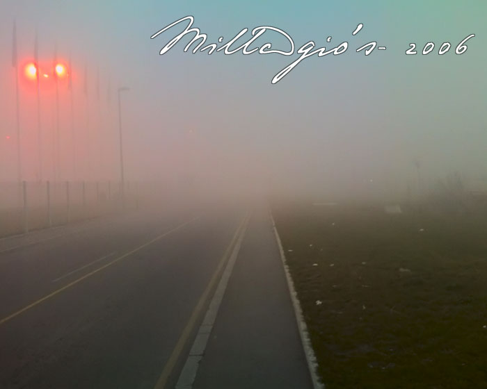 Misty-morning.jpg