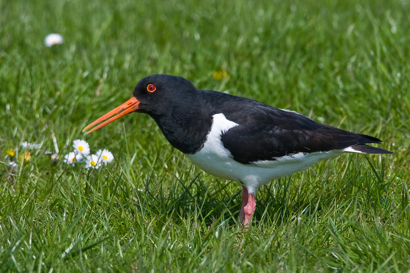 2008-05-02-30D-9116.jpg