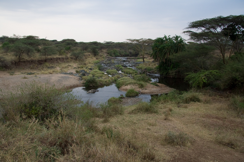 Serengeti