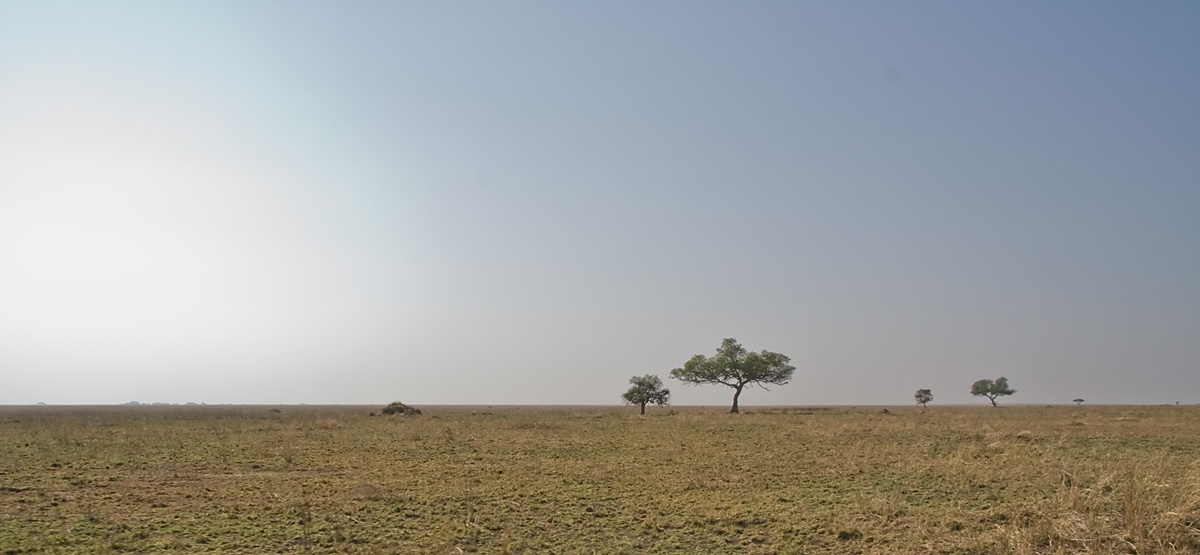 Serengeti (massai for endless plains)