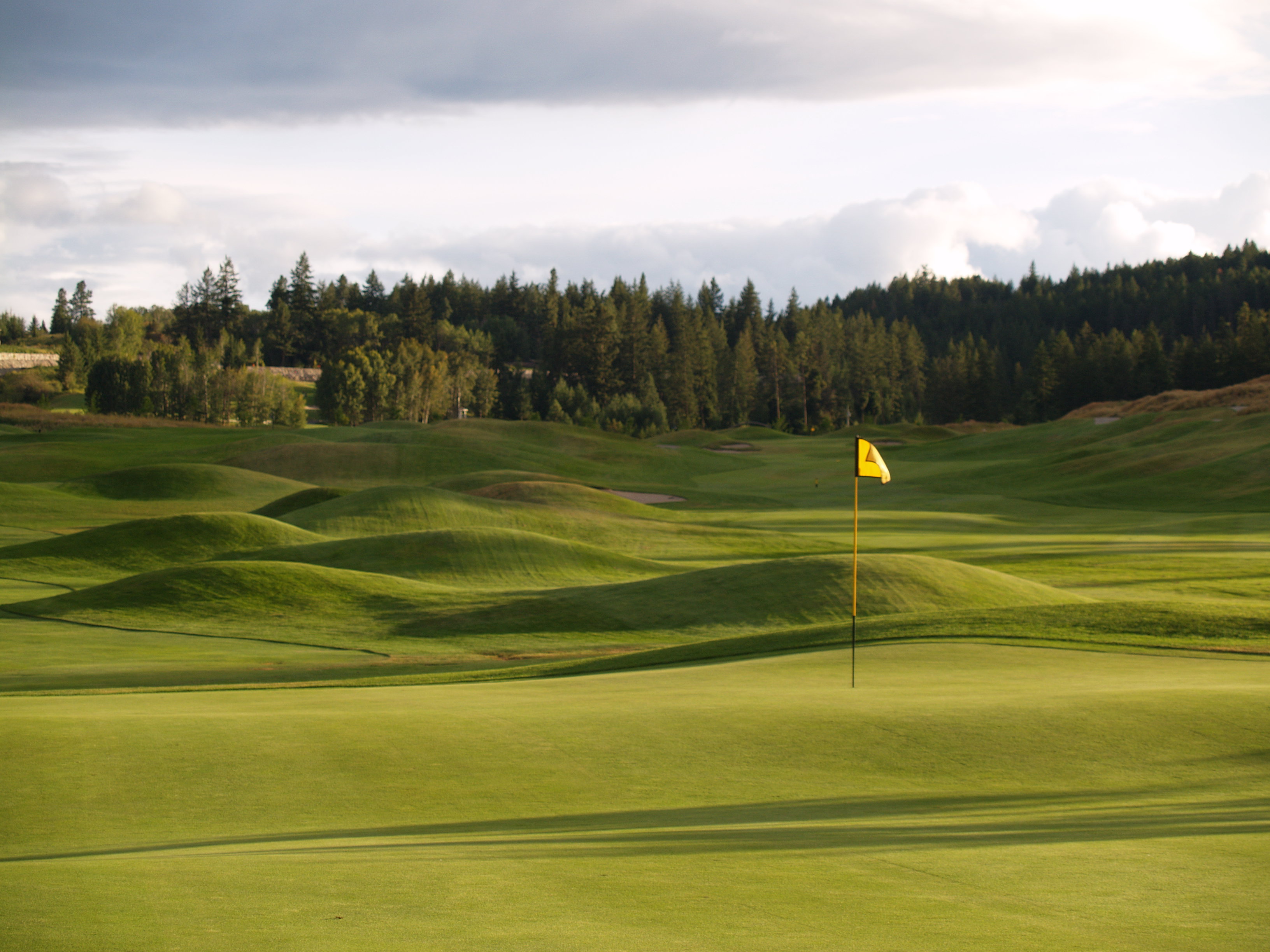 Ninth hole, Osprey nine