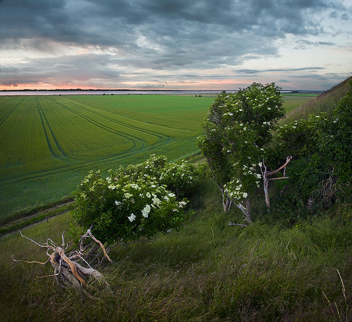 Near Noerholm