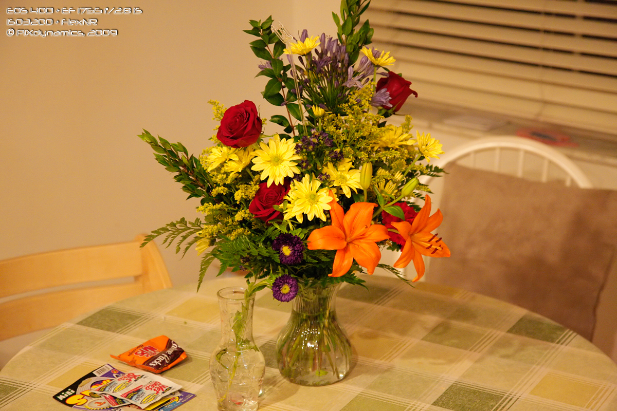 40D_MG_6699-ISo3200-FlexNR-web.jpg