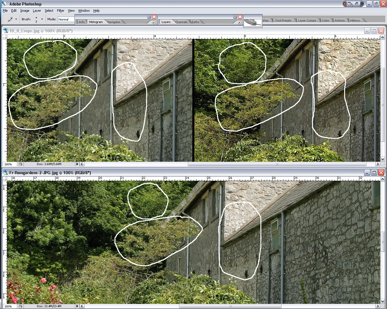 SCREEN_SHOT1D2-FLEX_JPG-vs-C1-a.jpg