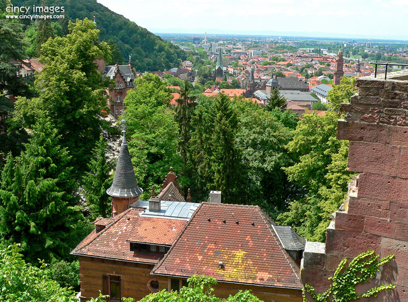 Heidelberg1q.jpg