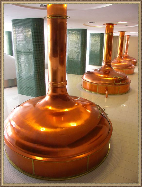 Beer Is Above All ! Plzen, Czechia