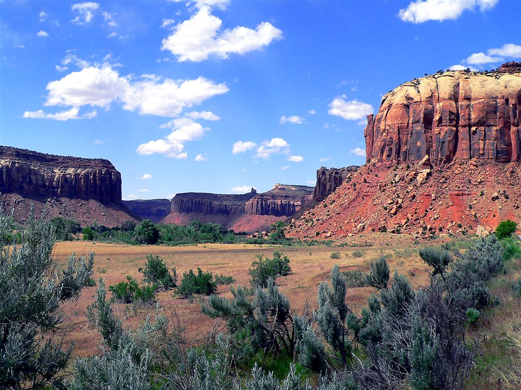 Needles Landscape