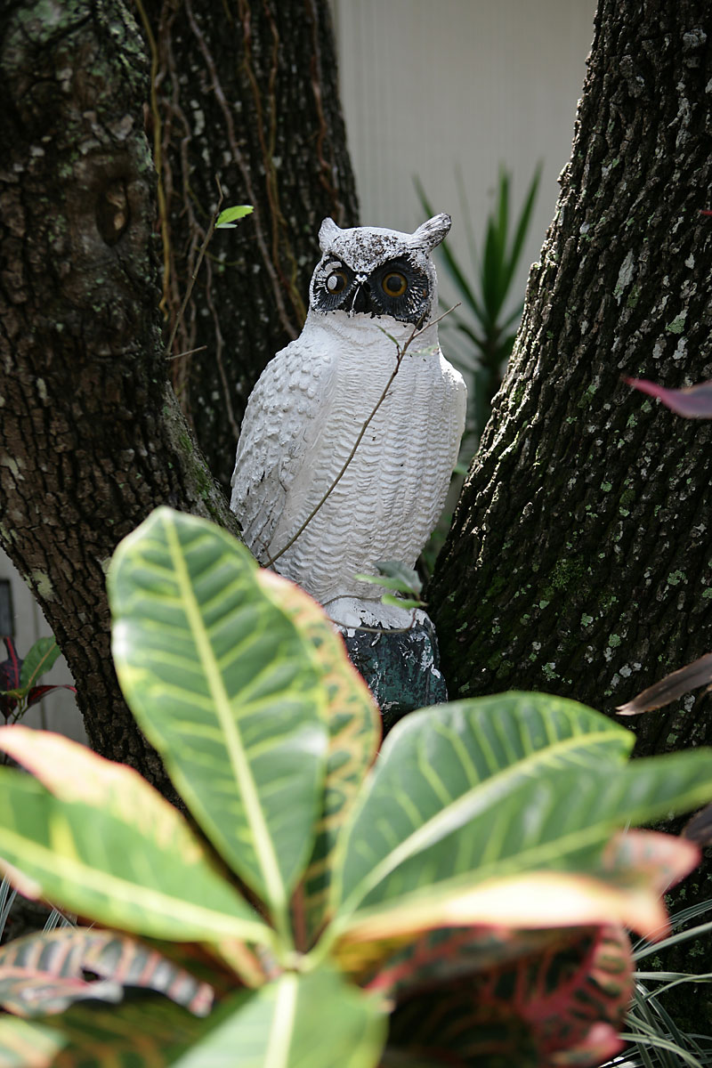 IMG_4373.jpg