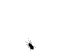 bugfv2kq5.gif