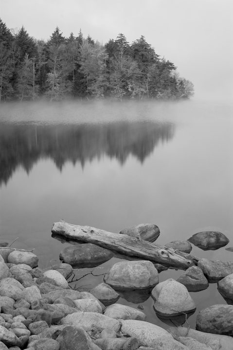 JEALOUS-BILL-B+W.jpg