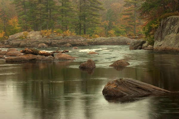 MOOSE-RIVER-ROCK-AND-LOG.jpg