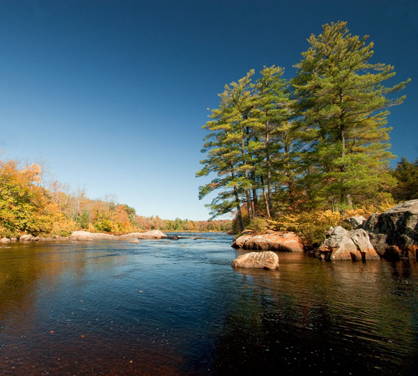 MOOSE-RIVER-SUNNY.jpg