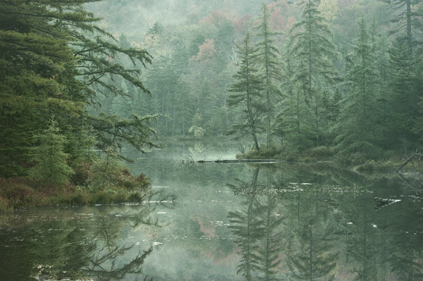NICKS-LAKE-BACK-POND.jpg