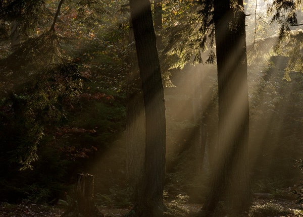 NICKS-LAKE--SHAFTS-OF-LIGHT.jpg