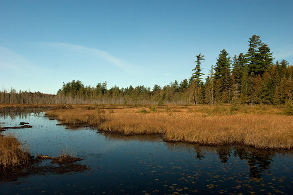 RAQUETTE-LAKE-POND.jpg