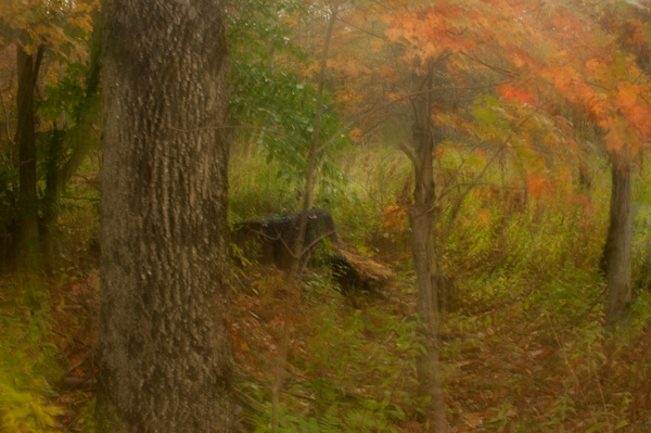 FALL 2011 ADIRONDACKS-OLD FORGE NY