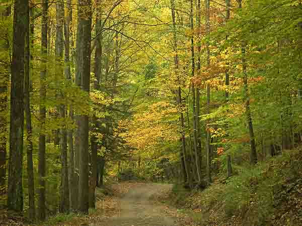 HOLLY RIVER SP Z-5 2.jpg