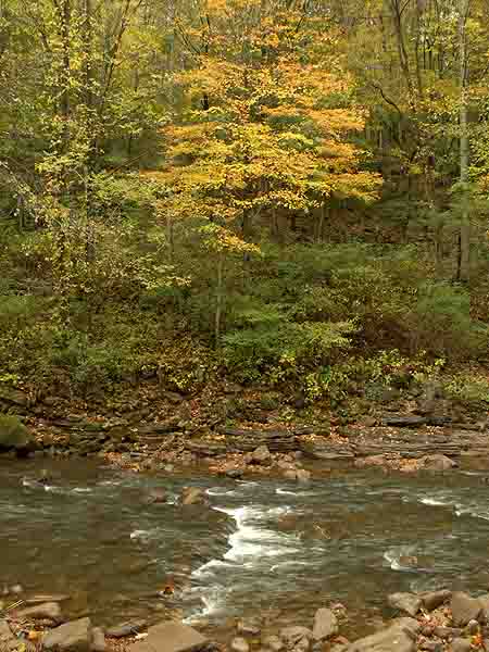 WEBSTER SPRINGS Z-5 1.jpg