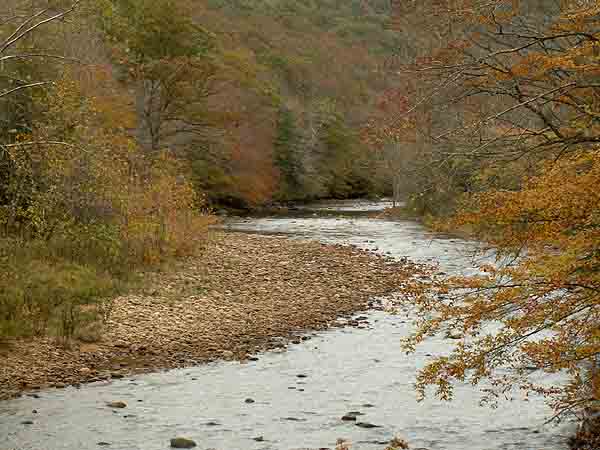 WILLIAMS RIVER Z-5 6.jpg