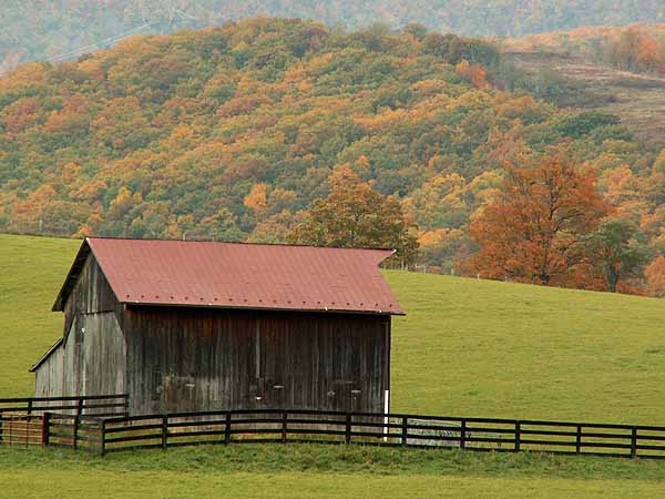 farm shed.jpg