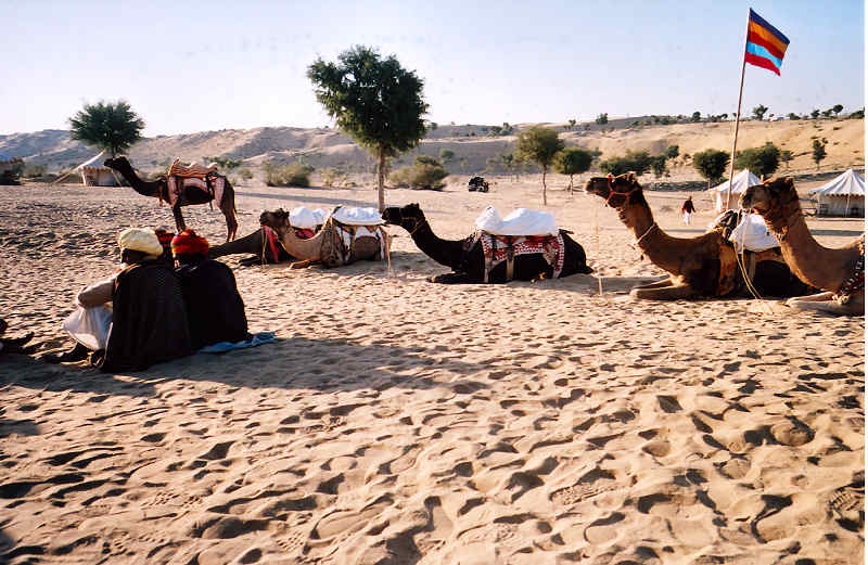 Rajastan Desert, India