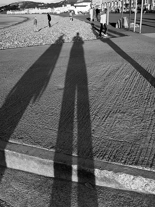 Shadows
