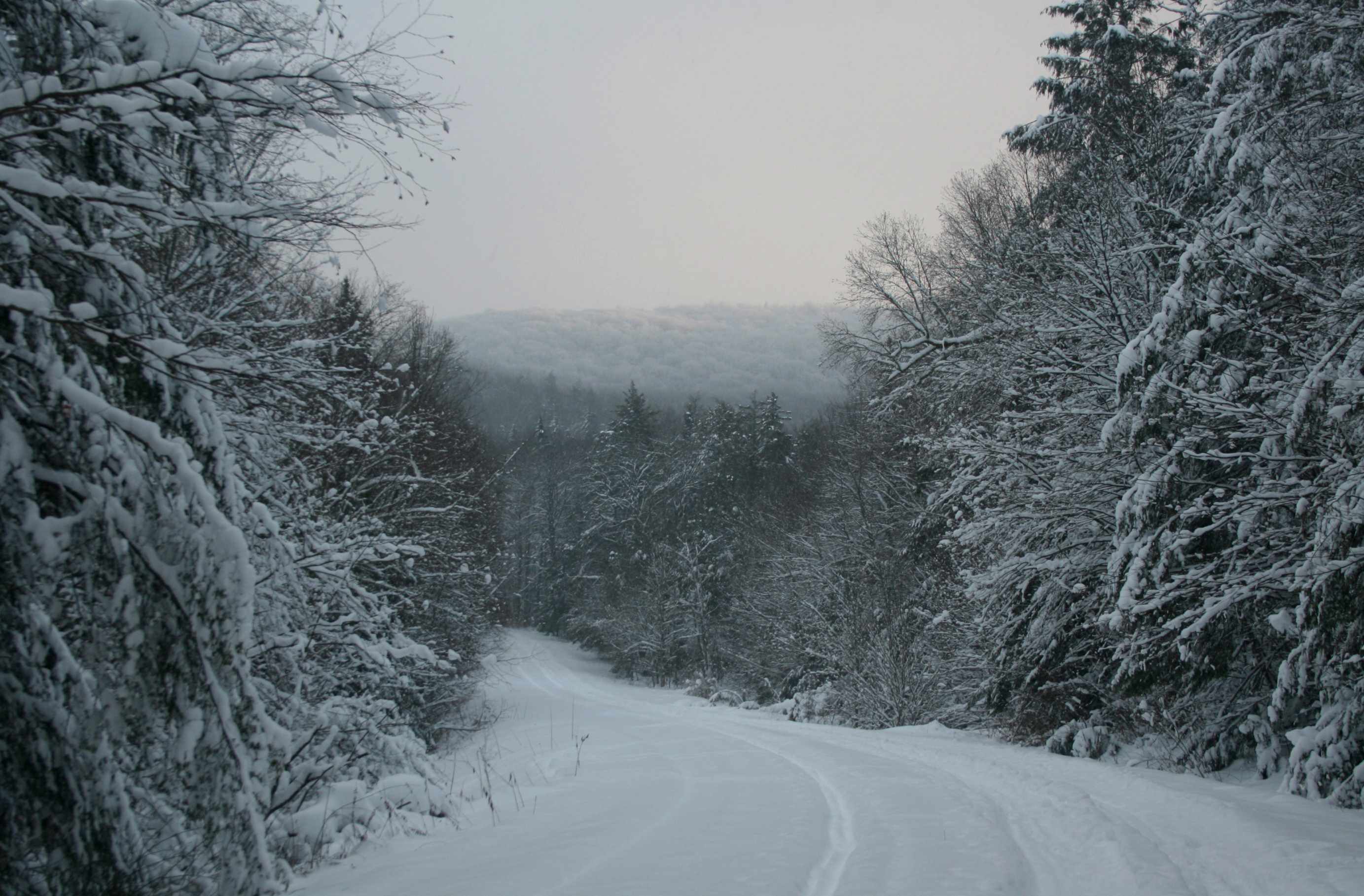 Cranberry Mtn Road Winter Scape tb0111lrr.jpg