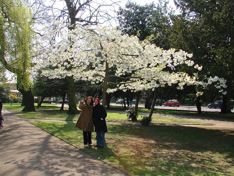 Spring colors1.jpg